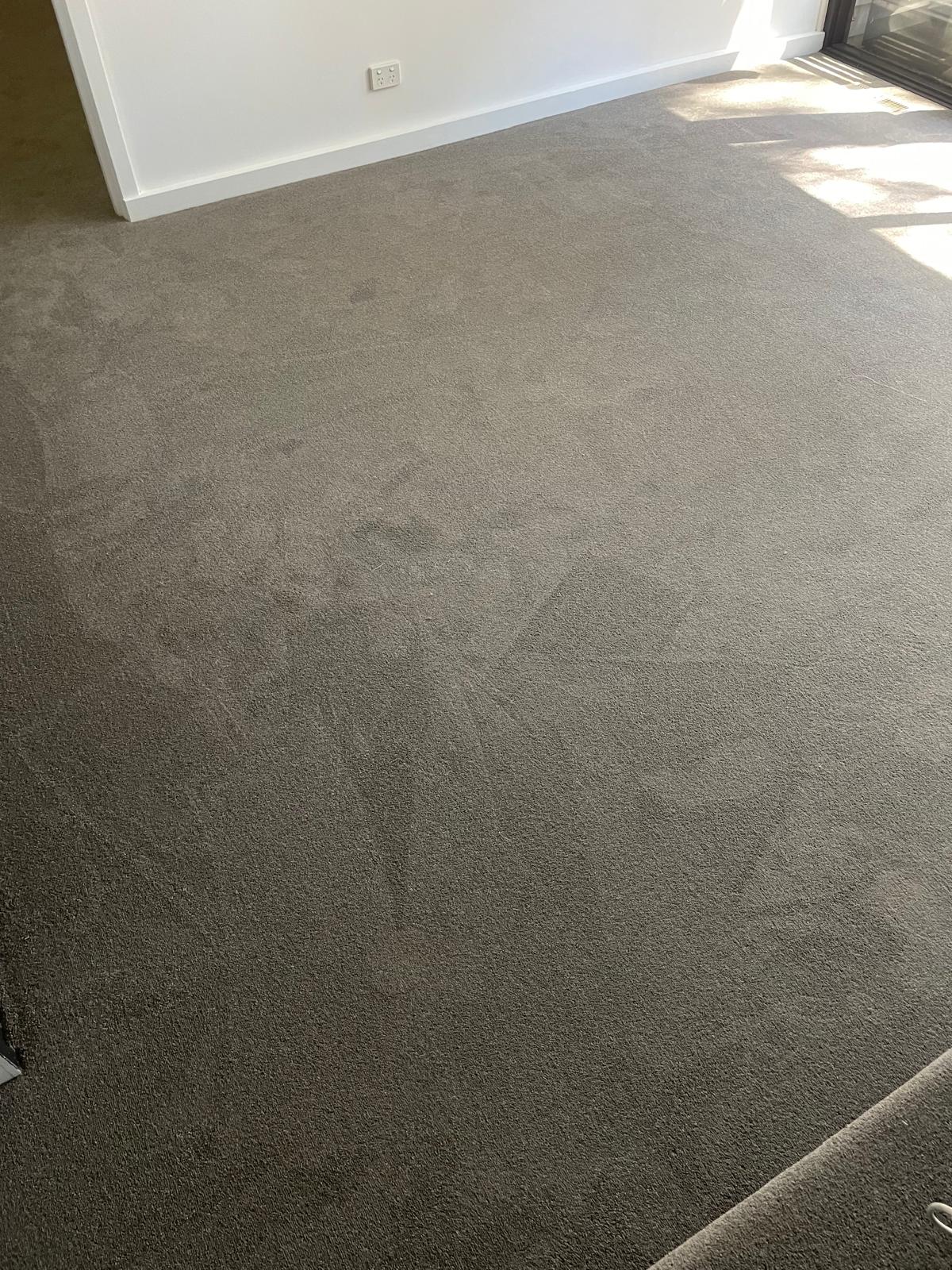 Why Choose Crystal Clear Carpet Melbourne